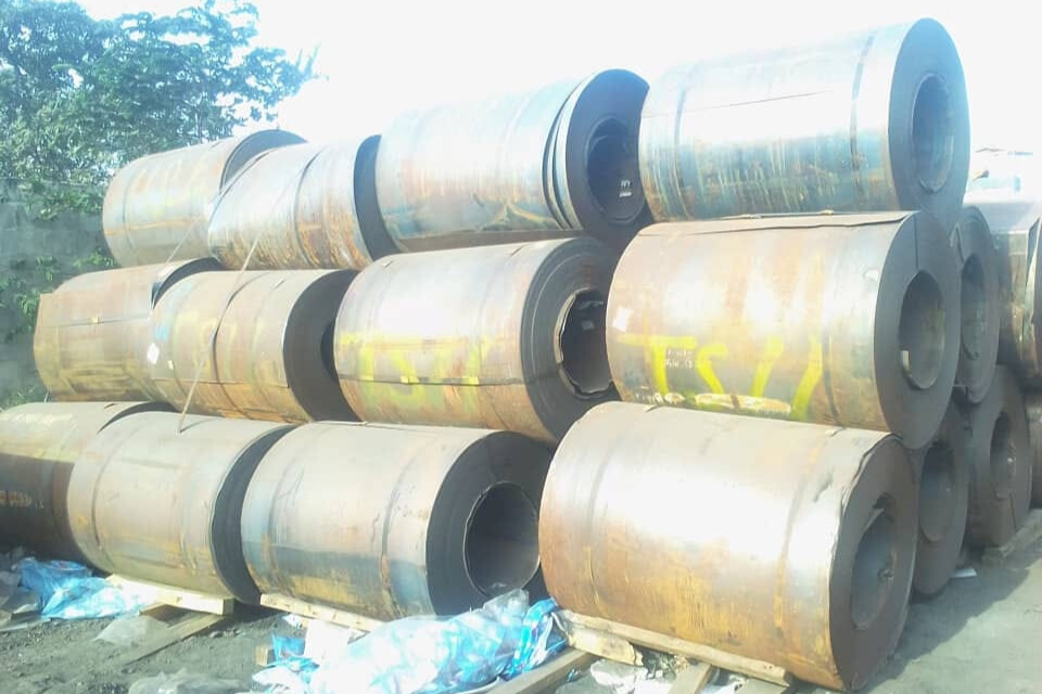 Bonjour Surveys Success Stories